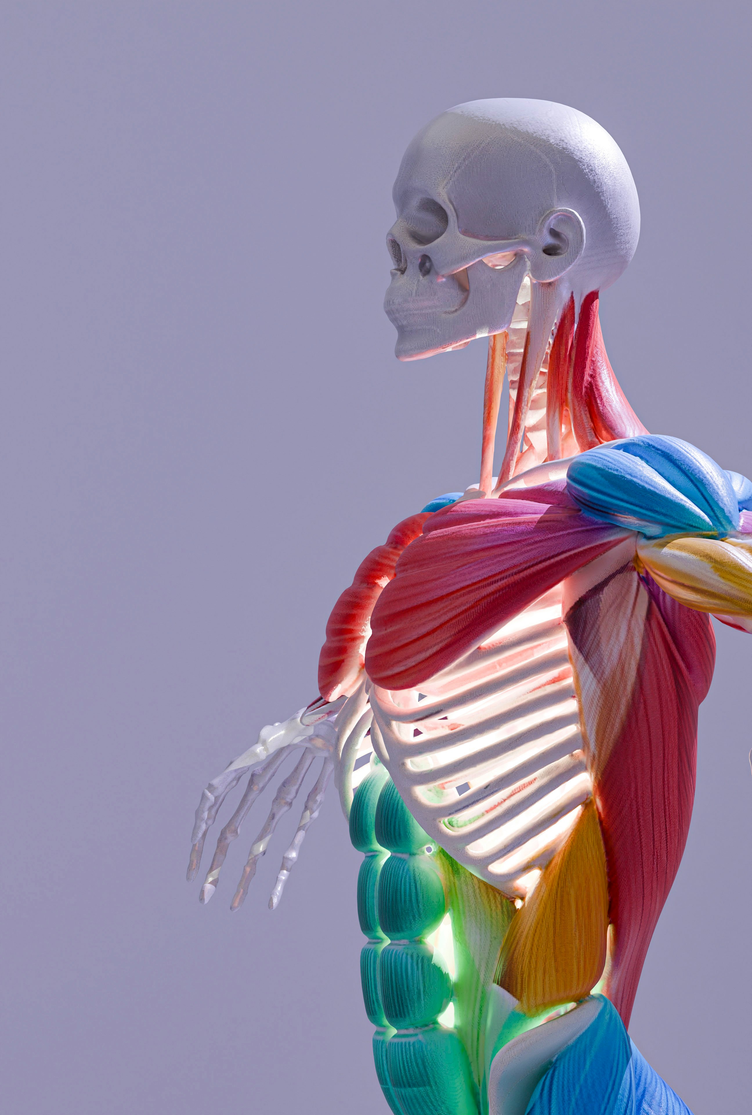 Anatomy Department